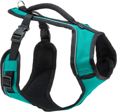 PetSafe EasySport Harness – Padded Straps – Fully Adjustable — Elastic Neckline — Best for Athletic Dogs – Top Handle for Quick Control