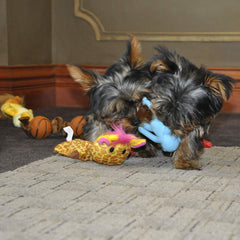 Coastal LiL Pals Latex Monkey Dog Toy