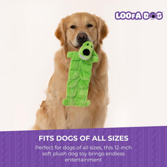 Multipet 12-Inch Squeaker Mat Soft Plush Dog Toy 1 ea