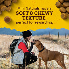 Zuke’s Mini Naturals Dog Training Treats for Dogs of All Sizes, Pet Treats made with Real Duck