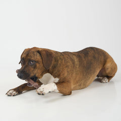 SPOT Bam-Bones Wishbone - Made with Strong Bamboo Fiber, Durable Long Lasting Dog Chew for Light to Moderate Chewers, Great Toy for Adult Dogs & Teething Puppies Under 50lbs, Bacon Flavor