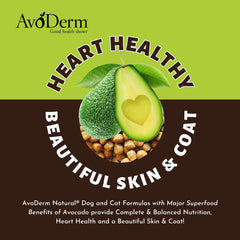 AvoDerm Indoor Formula Dry Cat Food