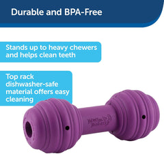 PetSafe Busy Buddy Chuckle Sound Dog Chew Toy - Treat Dispenser, BB-CHK, Purple,Medium/Large