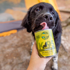 Earthborn Holistic K95 Chicken Recipe Grain-Free Canned Moist Dog Food 12 / 13 oz