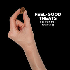 Go! Solutions Digestion + Gut Health - Salmon Dog Treats - Soft and Chewy Dog Treats, 6 oz Bag