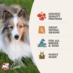 Fromm Adult Gold with Ancient Grains Dry Dog Food