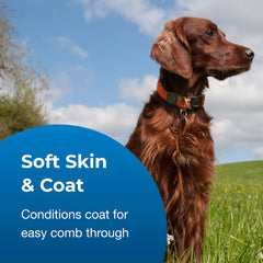 Fresh N Clean - PetAg Fresh ’n Clean Scented Creme Rinse Conditioner, Classic Fresh Scent - 18 oz - Reduces Mats and Tangles with Vitamin E & Aloe Vera - Strengthens & Repairs Coats - Soap Free