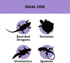 Zilla Pet Reptile Herbivore Food Medley Diet, 4 oz