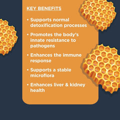 Nulo Functional Immune Dog Supplement and Multi-Vitamin, Made with Turmeric, Prebiotic and probiotics to Help Support Overall Healthy Immune System, 90 Soft Chews