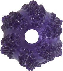 JW Pet BRISTLY Cactus Ball Dog Toy, Purple