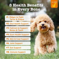 Zesty Paws Dental Bones - Fights Tartar & Plaque - Gum, Teeth & Bone Health - Cinnamon for Dog Breath - Immune, Joint, Gut, Skin & Coat Support - Omega 3 EPA & DHA and Calcium - Medium Dogs - 12 ct…