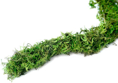 Galápagos (05350) Humid Environment Terrarium Kit – Essential Moss Accessories for Dart Frogs, Iguanas, Chameleons & Reptile Tanks