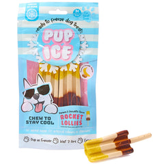 SPOT Pup Ice- Ready to Freeze at Home Dog Treats-Edible Chews for Medium Breed Dogs & Puppies with Real Chicken to Keep Your Pup Cool Year Round
