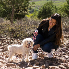 Coastal Pet - Styles - Adjustable Dog Collar, Resolve