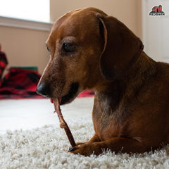 Redbarn All-Natural Bully Slims Beef Esophagus Chew Treats - Premium Grain-Free High Protein Low Fat Rawhide Alternative with No Artifical Ingredients