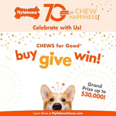 Nylabone Power Chew Easy-Hold Dog Toy - Dog Toys for Aggressive Chewers - Indestructible Dog Toys for Aggressive Chewers Large Breed - For Large Dogs - Bacon Large/Giant