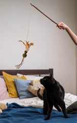 SPOT Naturals/Silver Vine/Cat Toy/Assorted Figures/Teaser Wand, Multicolor