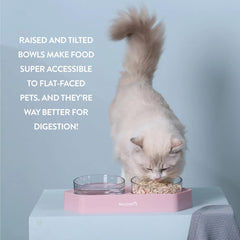 McLovin's 8 Degree Tilted Design Slanted Dual Angled Bowl for Dogs and Cats - Pink Tilted Dog Food Bowl Pet Feeder with Non-Skid & Non-Spill Design - Easier to Reach Food and Improve Digestion