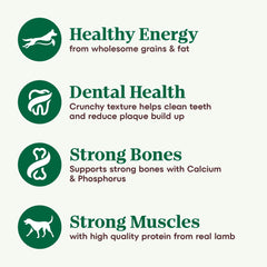 Nutro Natural Choice Senior Dry Dog Food, Lamb and Brown Rice Recipe, 30 lbs