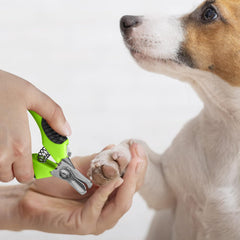 CONAIRPROPET Small Grooming Starter Value 3-PK