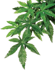 Exo Terra Silk Terrarium Plant, Medium, Abutilon