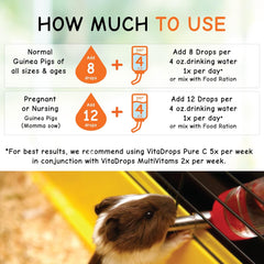 OASIS Vita Drops-Pure C for Guinea Pig, 2-Ounce, Packaging may vary