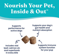 Solid Gold Healthy Dog Treats - Functional Treats for Training + Gut Health - Beef with Salmon Oil Healthy Training Treats for Dogs 5.2-oz