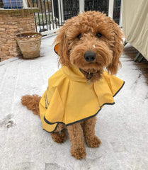 Fashion Pet Rainy Days Slicker - Yellow Dog Rain Jacket With Hood, Reflective Strip for Safety, Leash Hole & Adjustable Velcro Belly Strap, 100% Polyester Water Resistant Pet Raincoat