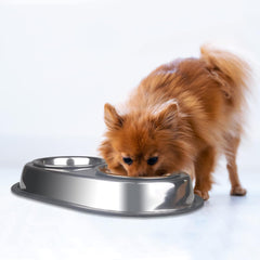 Van Ness Pets Stainless Steel Double Dish Food And Water Bowl For Cats/Small Dogs, Wide No-Tip Base