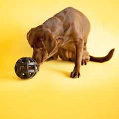 JW Pet Hol-ee Roller Extreme Dog Toy Puzzle Ball, Natural Rubber