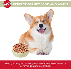 SPOT Speckled Stoneware- Round Ceramic Food/Water Bowl for Pets, Dishwasher Safe, Ideal for Small Dogs, Cats, Reptiles, Large Birds