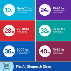 Petmate Vari Dog Kennel - Portable Crate for Pets - Airline-Friendly Pet Carrier - Durable Plastic Shell - For Home and Travel - Made in USA