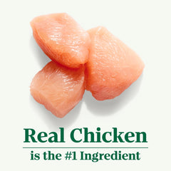 Nutro Wholesome Essentials Natural Dry Cat Food Kitten Formula Chicken & Brown Rice, 5 lb. Bag