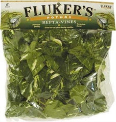 Fluker's Repta Vines for Reptiles and Amphibians Terrariums, Pothos