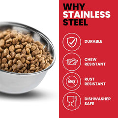 SPOT Stainless Steel Coop Cup with Wire Hooks – Durable, Chew-Resistant Food Bowl for Cages and Crates, Ideal for Feeding Birds, Parrots, Rabbits, Ferrets, and Reptiles