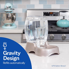 Petmate Pet Cafe Cat and Dog Water Dispenser - Water Bowl for Cats and Dogs