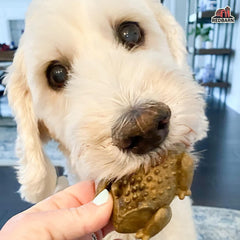 Redbarn Chew-A-Bulls Toad