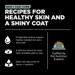 Go! Solutions Skin + Coat Care, Wet Dog Food, Turkey and Salmon Pâté with Grains Sensitive Skin, 12.5 oz