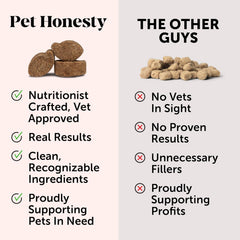 Pet Honesty Dog Allergy Itch Relief - Advanced Itch Supplement with Probiotics for Dogs - Immune Support & Skin Relief for Seasonal Allergies - Natural Itchy Skin & Paw Relief - (Peanut Butter, 90 Ct)