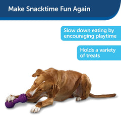 PetSafe Busy Buddy Chuckle Sound Dog Chew Toy - Treat Dispenser, BB-CHK, Purple,Medium/Large