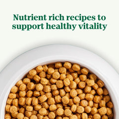 Nutro Natural Choice Small Bites Adult Dry Dog Food, Chicken and Brown Rice Recipe, 30 lbs.