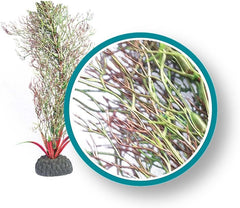 Fine Kelp Branch Plant Ornament, 9"