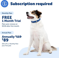 PetSafe Guardian GPS + Tracking Dog Fence Collar Pet Safe GPS Dog Collar Fence System, with App Waterproof Rechargeable Collar, Tracking for Dogs (Blue, Grey)