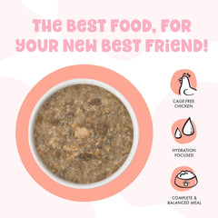 B.F.F. Kitten Food, Cuddle Buds with Chicken & Salmon in Gravy