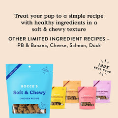 Bocce's Bakery Oven Baked Chicken Recipe Treats for Dogs, Wheat-Free Everyday Dog Treats, Made with Real Ingredients, Baked in The USA, All-Natural Soft & Chewy Cookies, Chicken, 6 oz