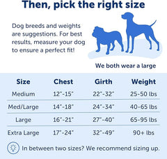 PetSafe Easy Walk No-Pull Dog Harness - The Ultimate Harness to Help Stop Pulling - Take Control & Teach Better Leash Manners - Helps Prevent Pets Pulling on Walks, Small/Medium