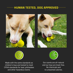 Playology Squeaky Bounce Ball Dog Toy, for Large Dogs (35lbs and Up) - for Heavy Chewers - Engaging All-Natural Chicken Scented Toy - Non-Toxic Materials