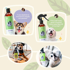 kin+kind Flea and Tick Shampoo for Dogs Vet Formulated - Plant Powered, Safe and Effective Dog Shampoo with Coconut and Olive Oil - Lavender Scent - Prevent Fleas and Ticks - Made in USA 12 fl oz