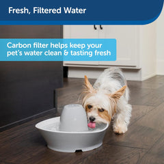Drinkwell - PetSafe Drinkwell Replacement Carbon Filters, Dog and Cat Ceramic Water Fountain Filters, 4-Pack