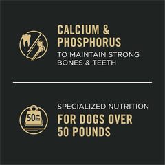 Purina Pro Plan Beef & Rice Chunks in Gravy Large Breed Dog 12 / 13 oz